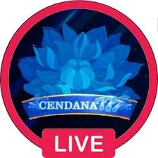 Aplikasi cendana777 Terbaru dan Terlengkap — ikon APK